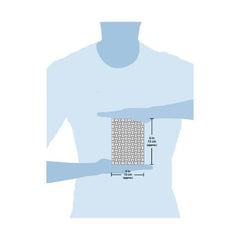 Chinese Lanterns Mini Jigsaw Puzzle - Starbase 505