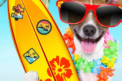 Dog Days Of Summer Mini Jigsaw Puzzle - Starbase 505