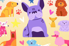 Puzzle Packs - The Dog Pack - Starbase 505