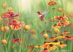 Rufous Hummingbird 500pc puzzle - Starbase 505