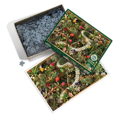 Succulent Garden 1000pc Puzzle - Starbase 505