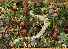 Succulent Garden 1000pc Puzzle - Starbase 505