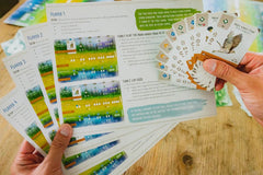 Wingspan - Starbase 505