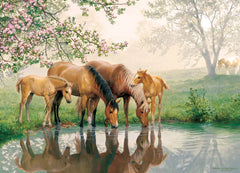 Horse Family (Family) 350pc Puzzle - Starbase 505
